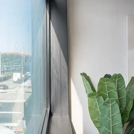 Apartment Guestready - Exquisite In Matosinhos (Porto)